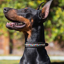Load image into Gallery viewer, M - Collar & Leash