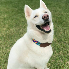 Load image into Gallery viewer, L - Collar & Leash