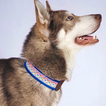 Load image into Gallery viewer, M - Collar & Leash